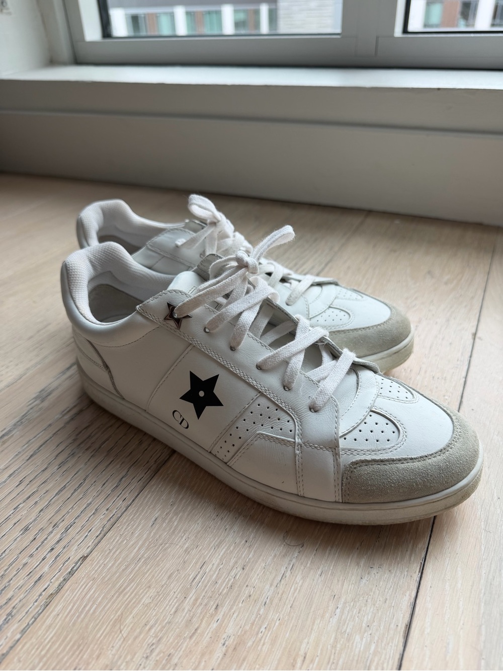 Dior Star Sneakers